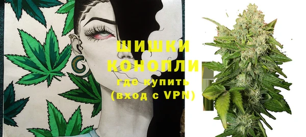 соль ск Вяземский
