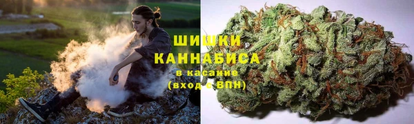 mix Богородицк